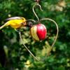Heart Apple Feeder with male Oriole.
