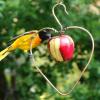 Heart Apple Feeder with male oriole close up.