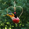 Love Bird Apple Feeder with male oriole chowing down.
